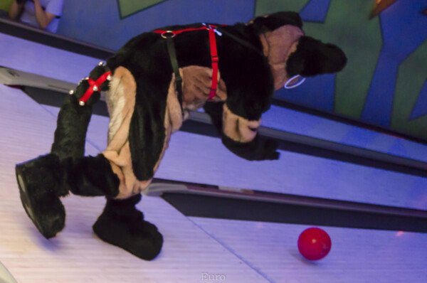 Fursuit Bowling Oct 9 2015-173