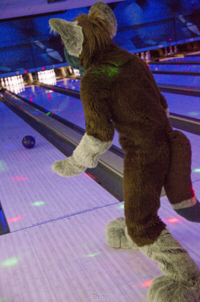 Fursuit Bowling Oct 9 2015-179