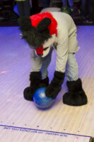 Fursuit Bowling Oct 9 2015-221 