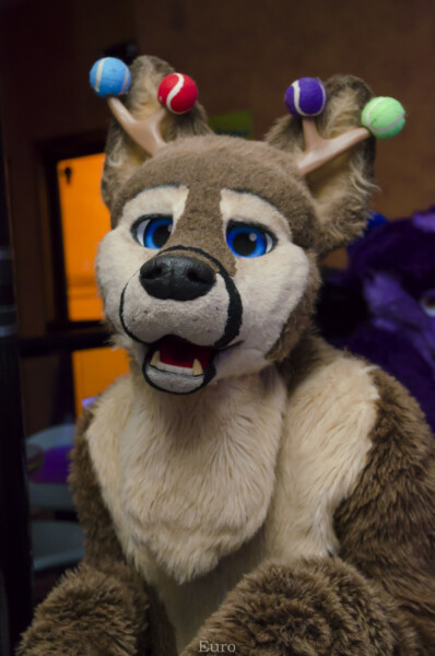 Fursuit Bowling Oct 9 2015-228