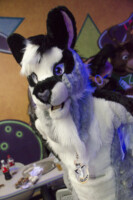 Fursuit Bowling Oct 9 2015-234 