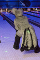 Fursuit Bowling Oct 9 2015-271 