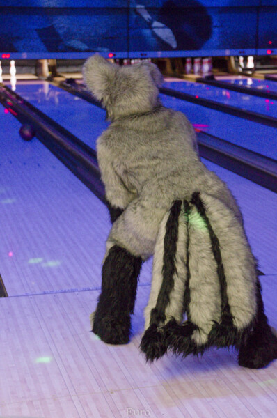 Fursuit Bowling Oct 9 2015-271