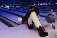 Fursuit Bowling Oct 9 2015-306 