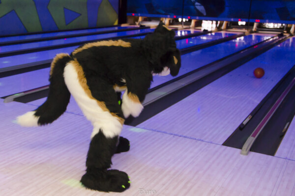 Fursuit Bowling Oct 9 2015-330
