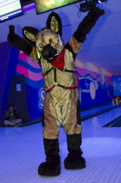 Fursuit Bowling Nov 7 2015-091
