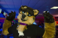Fursuit Bowling Nov 7 2015-123 