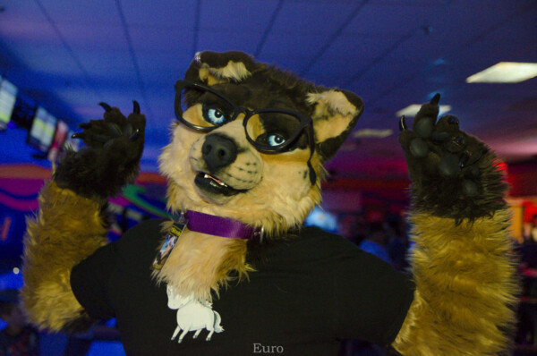 Fursuit Bowling Nov 7 2015-123
