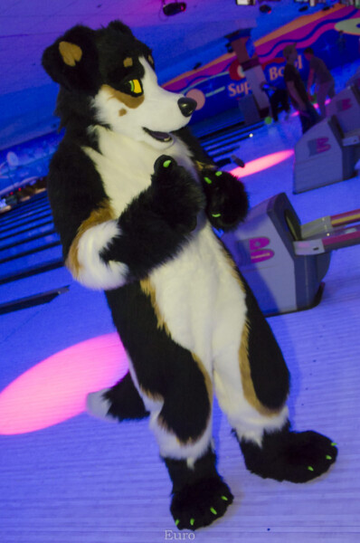 Fursuit Bowling Nov 7 2015-126