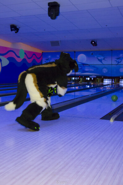 Fursuit Bowling Nov 7 2015-136