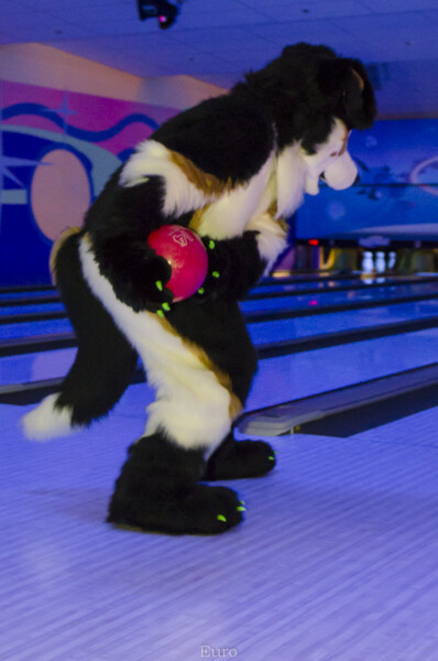 Fursuit Bowling Nov 7 2015-139
