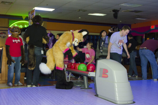 Fursuit Bowling Nov 7 2015-197