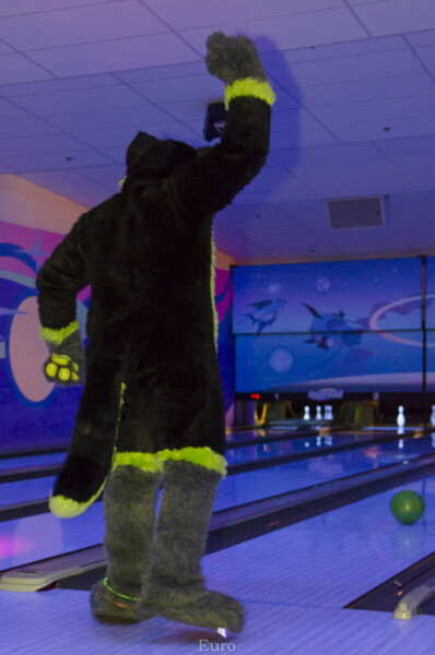 Fursuit Bowling Nov 7 2015-215
