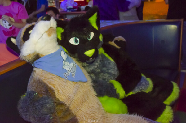 Fursuit Bowling Nov 7 2015-233