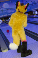 Fursuit Bowling Nov 7 2015-251 