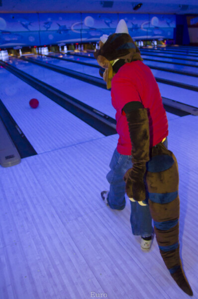 Fursuit Bowling Nov 7 2015-294