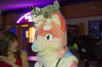 Fursuit Bowling Nov 7 2015-306 