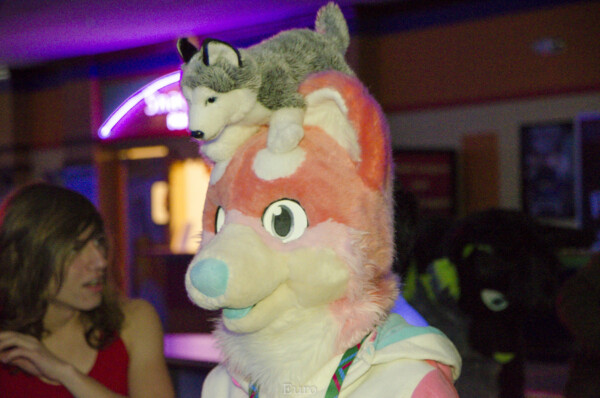 Fursuit Bowling Nov 7 2015-306