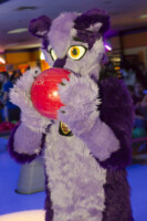 Fursuit Bowling Nov 7 2015-379 