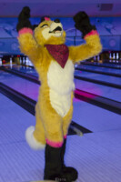 Fursuit Bowling Nov 7 2015-431 