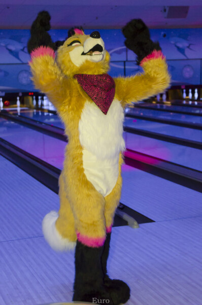 Fursuit Bowling Nov 7 2015-431
