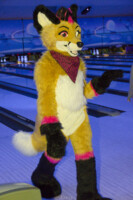Fursuit Bowling Nov 7 2015-434 