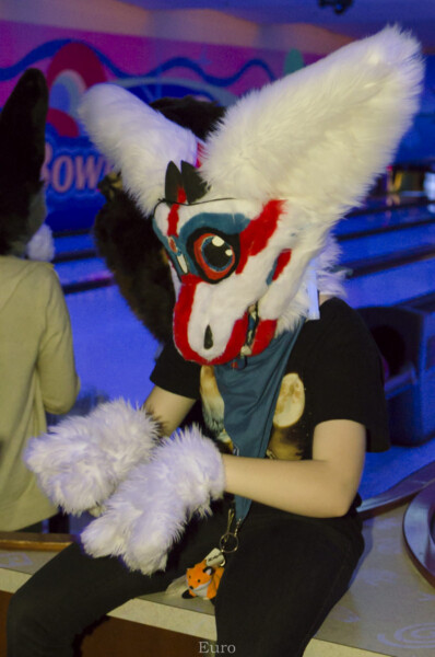 Fursuit Bowling Nov 7 2015-452