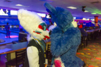 Fursuit Bowling Nov 7 2015-469 