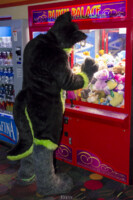 Fursuit Bowling Nov 7 2015-475 