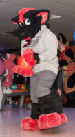 LIC_5045 