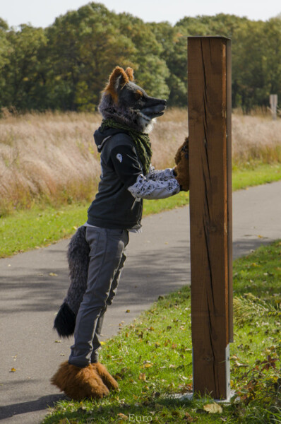 Fursuit Romp Oct 10 2015-004