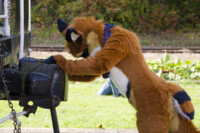 Fursuit Romp Oct 10 2015-023 