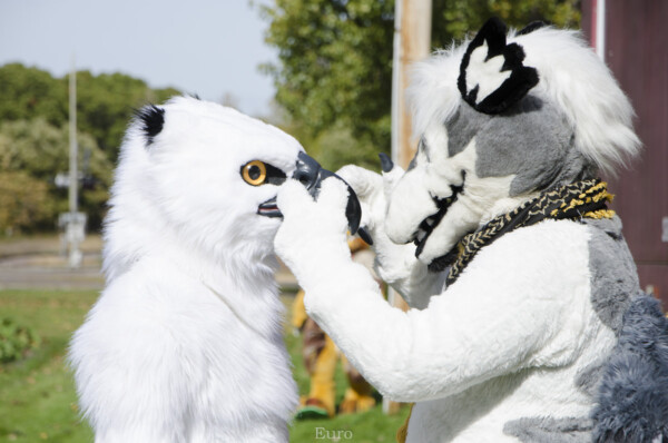 Fursuit Romp Oct 10 2015-077