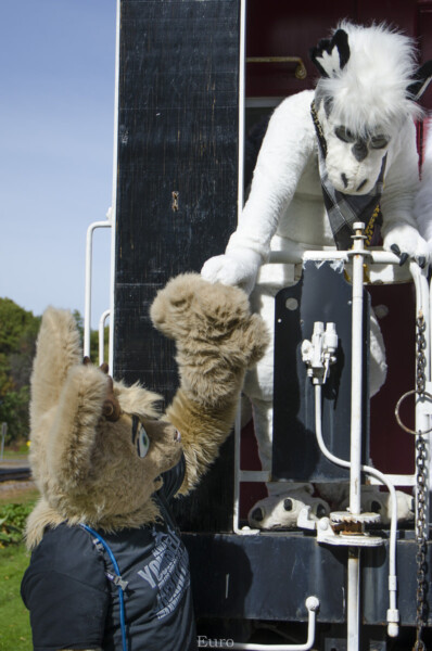 Fursuit Romp Oct 10 2015-107