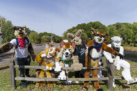 Fursuit Romp Oct 10 2015-130 