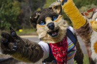 Fursuit Romp Oct 10 2015-138 