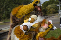 Fursuit Romp Oct 10 2015-146 