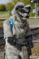 Fursuit Romp Oct 10 2015-147 