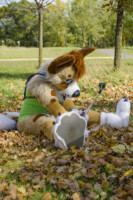 Fursuit Romp Oct 10 2015-178 
