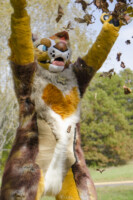 Fursuit Romp Oct 10 2015-191 