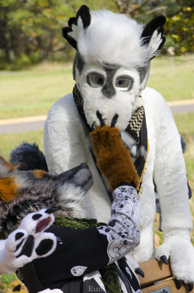 Fursuit Romp Oct 10 2015-201