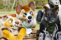 Fursuit Romp Oct 10 2015-207 