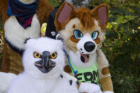 Fursuit Romp Oct 10 2015-265 