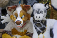 Fursuit Romp Oct 10 2015-266 