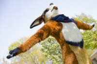 Fursuit Romp Oct 10 2015-299 