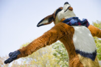 Fursuit Romp Oct 10 2015-304 