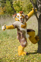 Fursuit Romp Oct 10 2015-319 