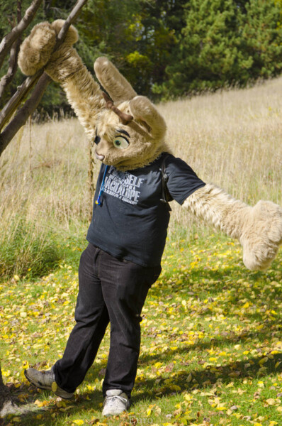 Fursuit Romp Oct 10 2015-321