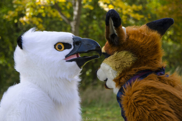 Fursuit Romp Oct 10 2015-329