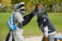 Fursuit Romp Oct 10 2015-346 